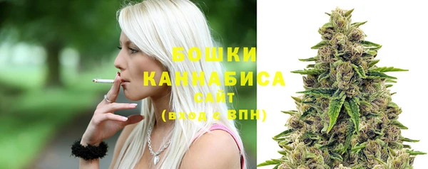 шишки Липки