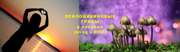 шишки Липки