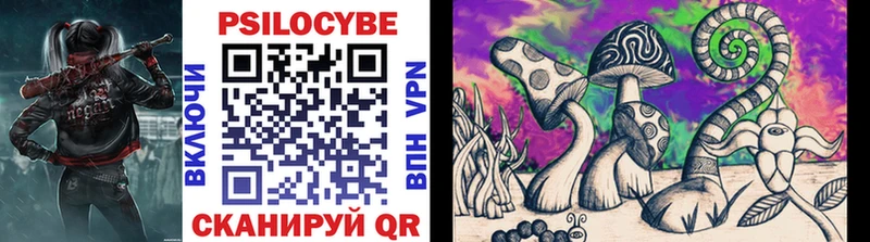 Псилоцибиновые грибы Psilocybine cubensis  хочу наркоту  Орлов 